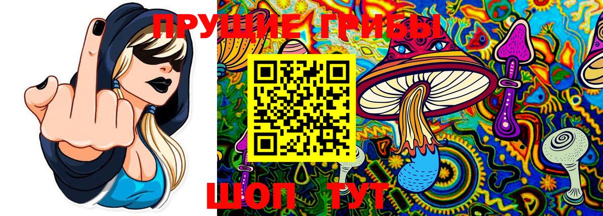 Псилоцибиновые грибы ЛСД Троицк