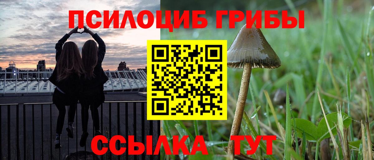 Галлюциногенные грибы мухоморы  Вход с VPN  Троицк 